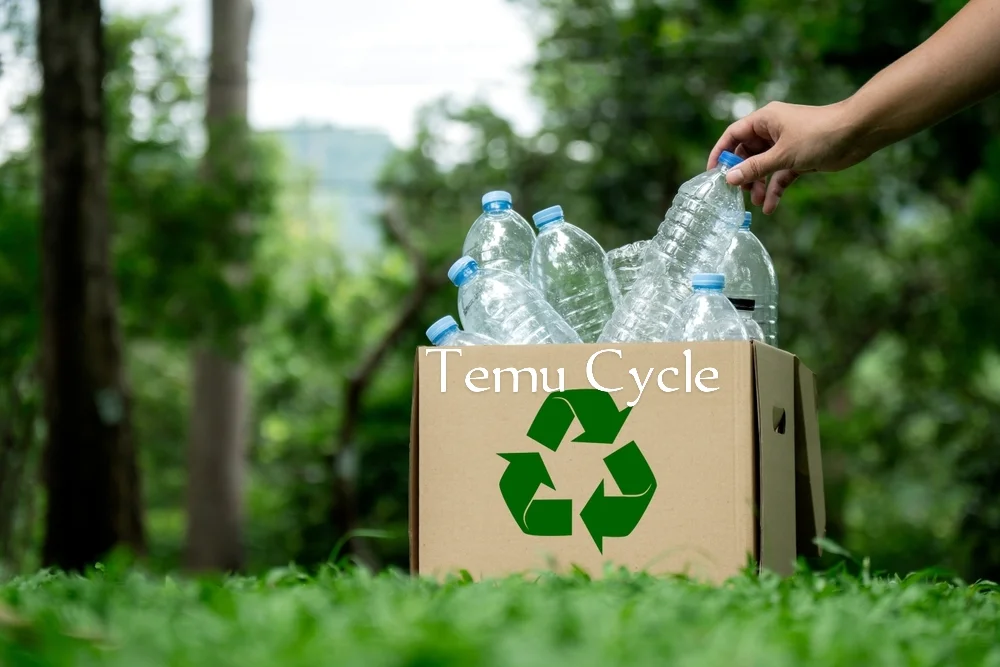 Recycling photo 3
